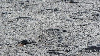 Stopy dinosaurů v portugalském Monumento Natural das Pegadas dos Dinossáurios