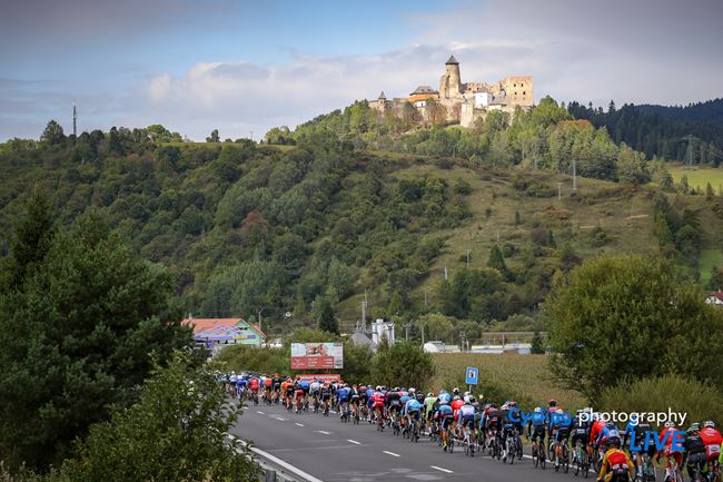 IMC_6029.jpg?w=650&scale=both&quality=80