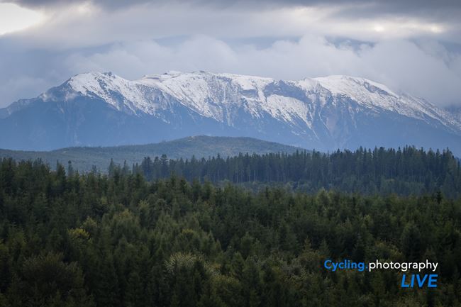 IMC_6202.jpg?w=650&scale=both&quality=80