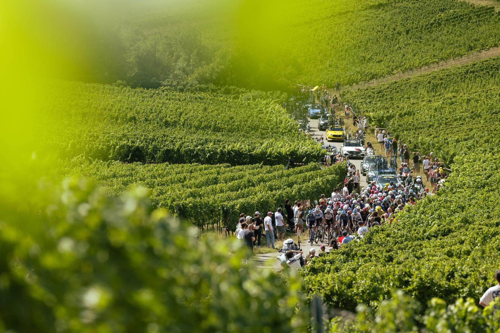 DTour2026-Etappe4-51.jpg