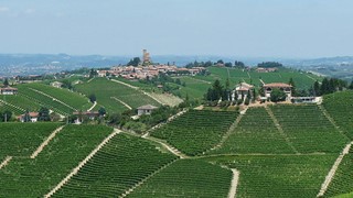 Barolo – Usmívej se, jsi v Barolu aneb Ve sklepech vinařství Borgogno (2. díl)